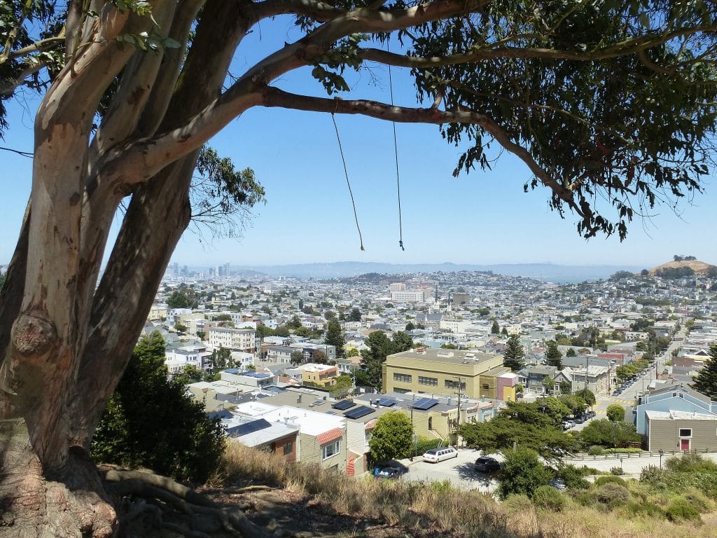 swing at billy goat hill park