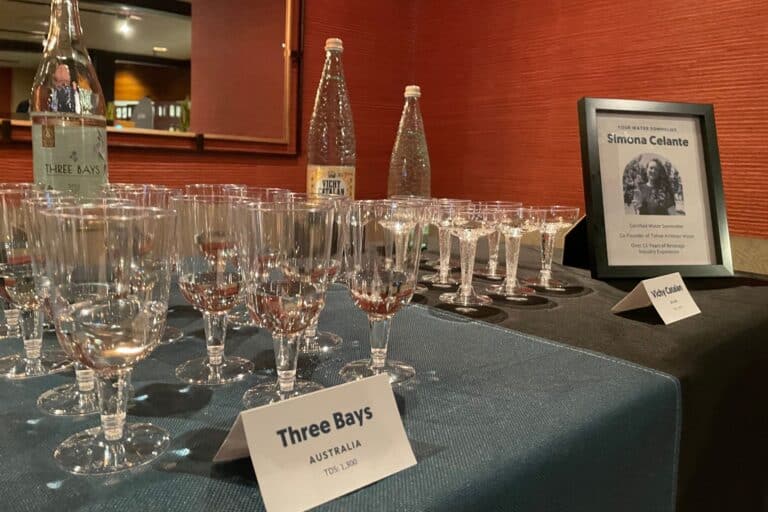 glasses on table during water tasting bar event