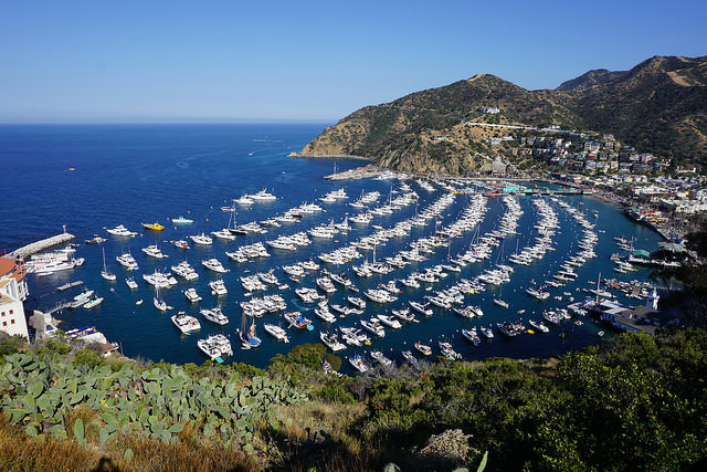 Boat to Catalina Island:10 Things Everyone Should Do In LA Before They Die