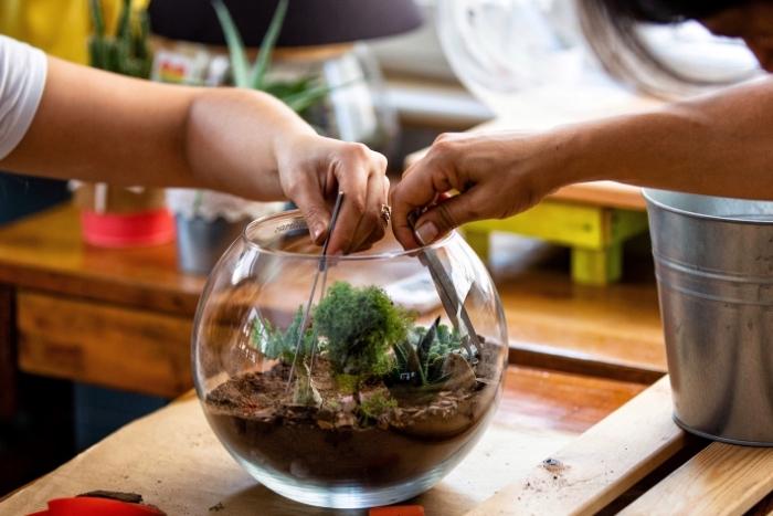 two-hands-making-a-terrarium-for-team-building-activities-in-the-bay-area