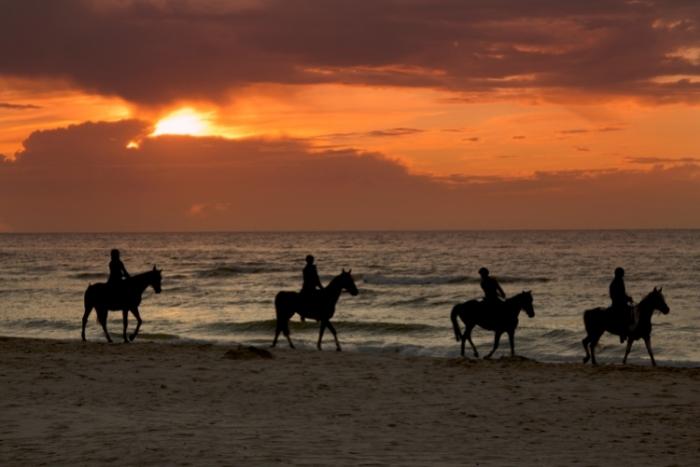 fun-experience-gift-for-a-romatic-couple-is-a-horseback-ride-at-sunset-on-the-beach