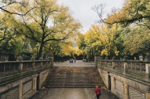 walk in the park for entertaining clients in NYC