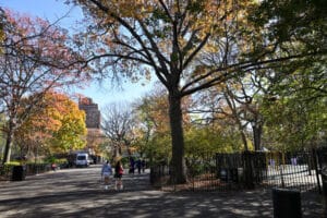 tompkins square park visit during nyc east village food tour