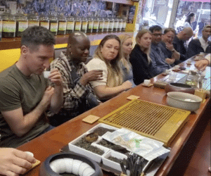avital chinatown food tour guests tasting tea