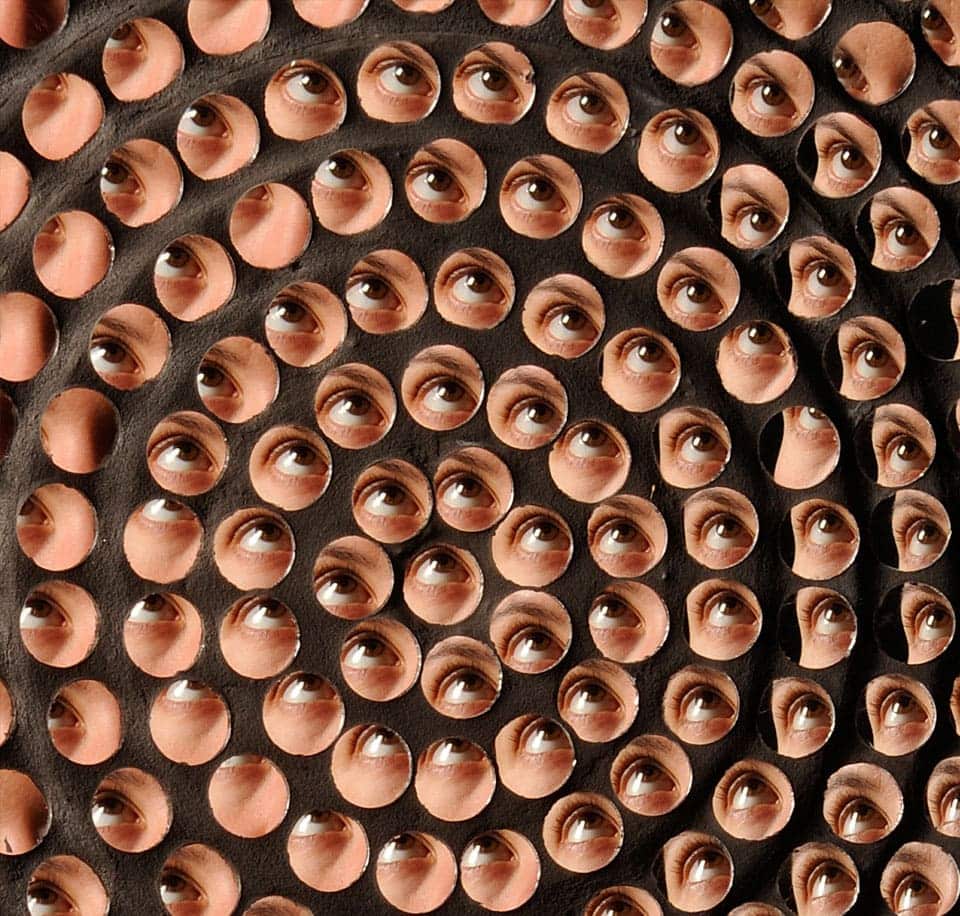 eyeballs in a spiral during experiment at the exploratorium, one of the best places to visit with teens in san francisco