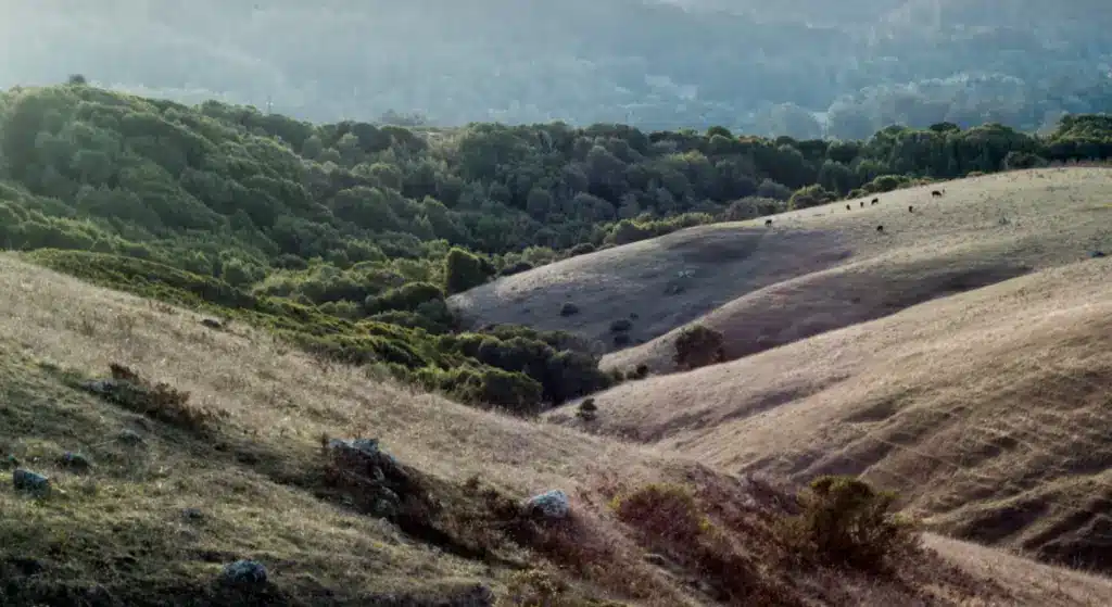 The beautiful scenery at Marin Headlands Park