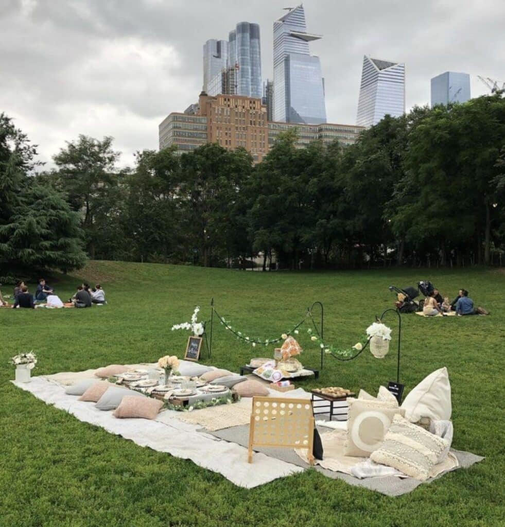 Luxury picnic set-up in Central Park