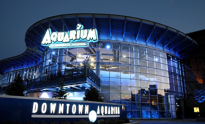 Denver Aquarium outside at night