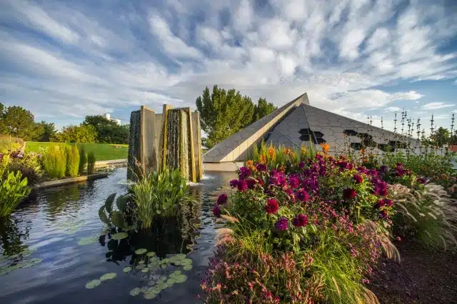 Beautiful flowers at Denver Botanic Gardens