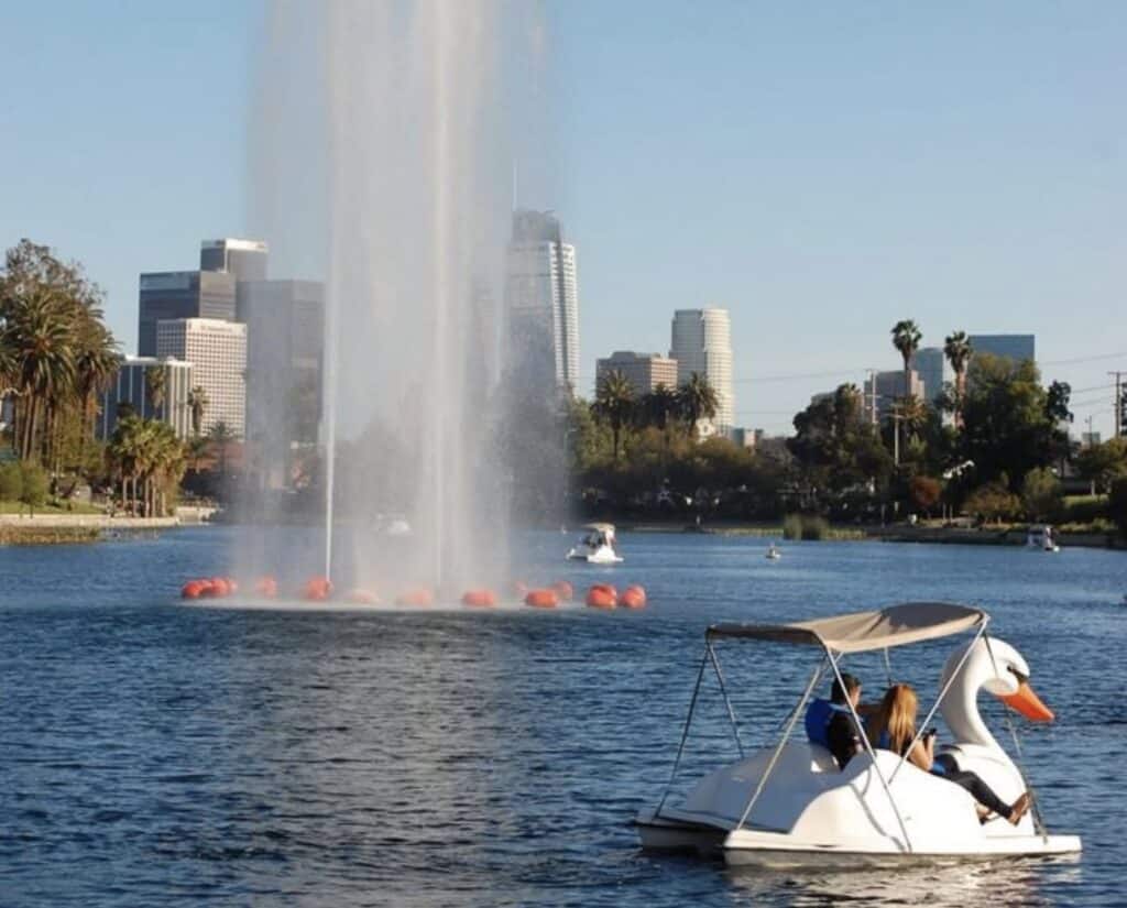 Swan paddle boats at Washington Park