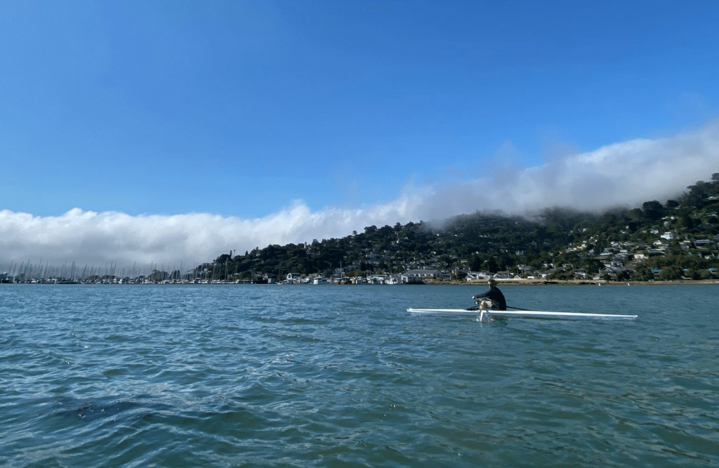 The water and skyline in Sausalito California