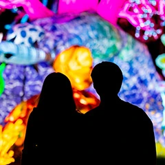 Team members. enjoy the Zoolights show in Boston during the holidays