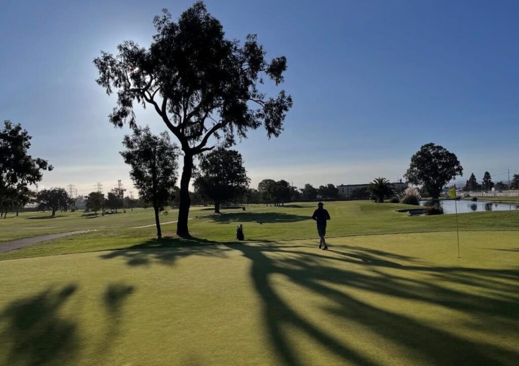 The greens of the Poplar Golf Course are beautiful as shadows are cast by the trees