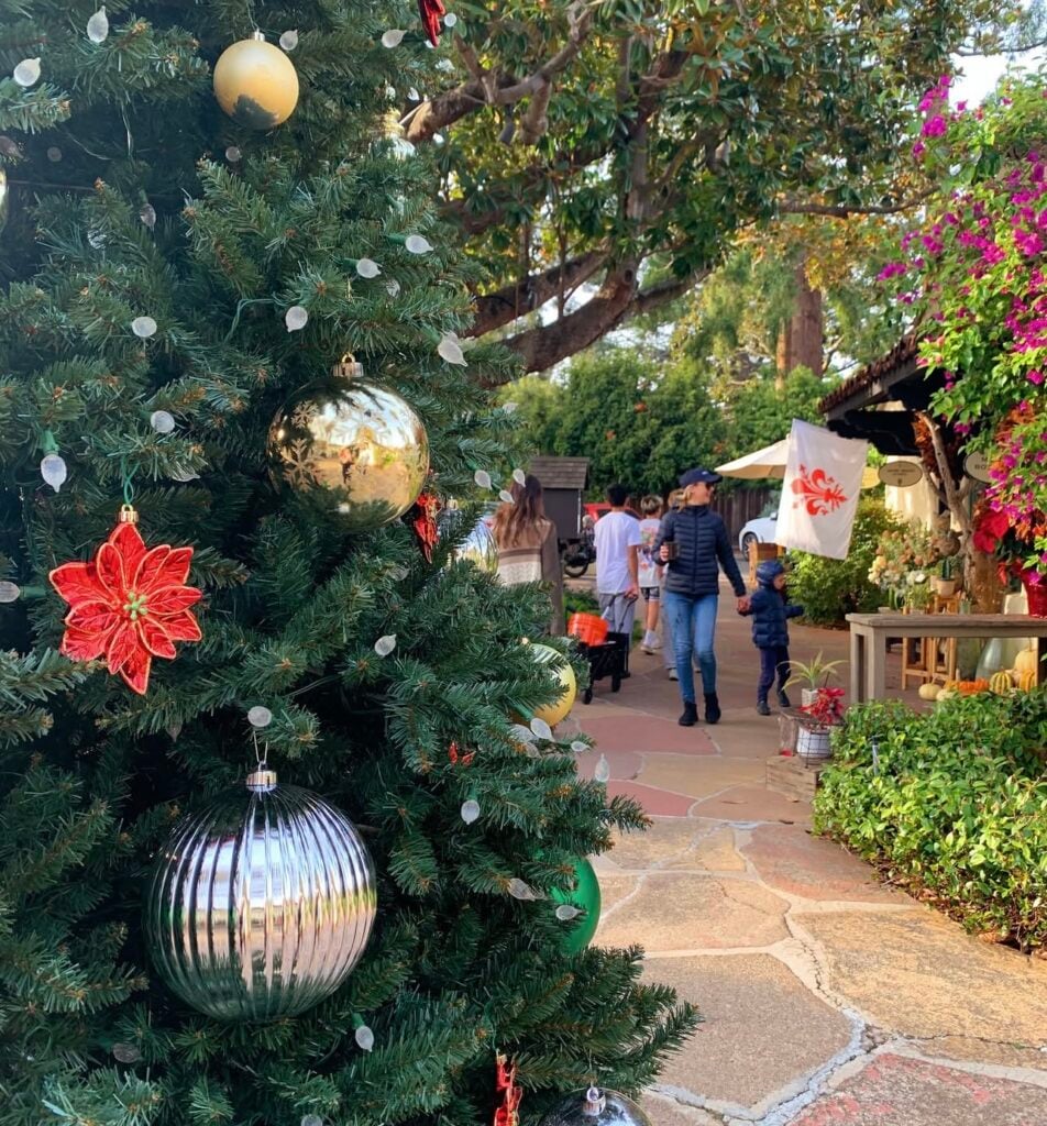 Locals flock to the stalls and christmas trees at the allied arts guild market