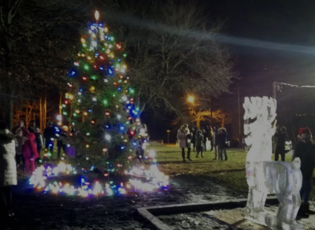 A beautiful christmas tree lights up a menlo park museum