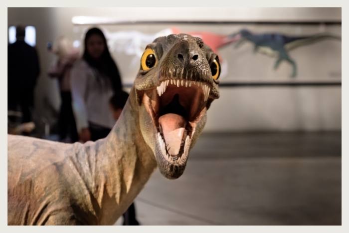 attend dino 101 for unique virtual event