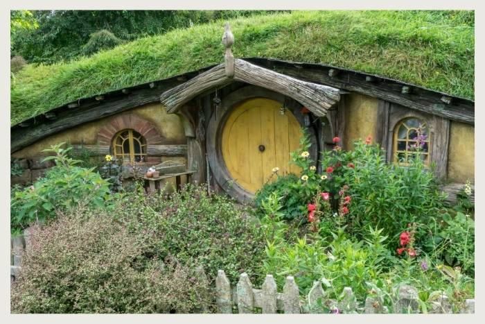 go into weird homes during unique virtual events