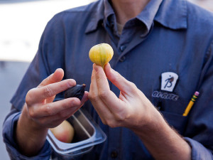 5 Places For Eating Healthy in San Francisco: Bi